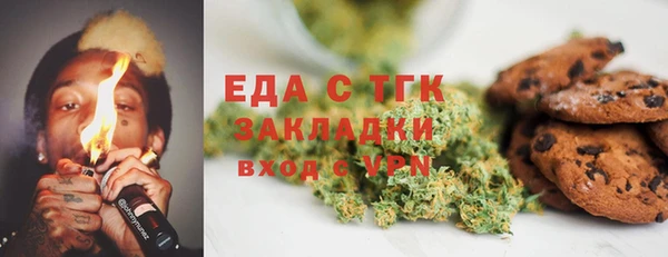индика Армянск