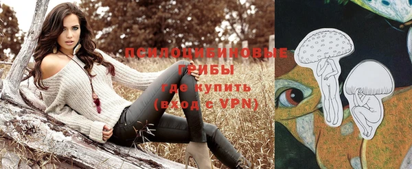 индика Армянск