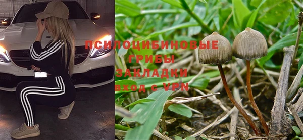 Альфа ПВП Аркадак
