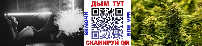 закладки  Новоузенск  МАРИХУАНА SATIVA & INDICA 